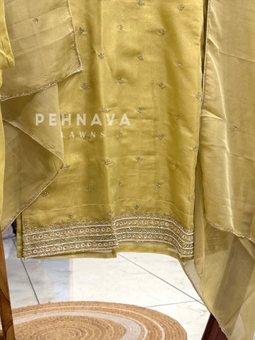 Tissue Handworked Stitched Suit-RR335