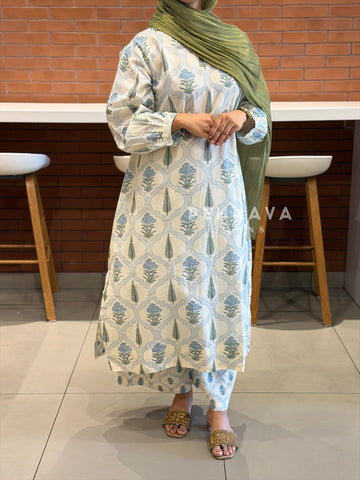 Daily Wear Cotton Printed Co-ord Set-SN 5293