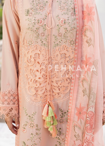 Zarqun Premium Cotton Embroidered Ensemble