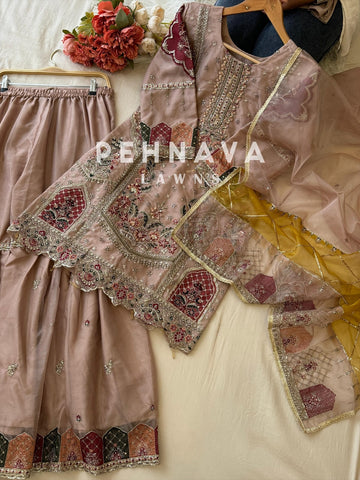 Royal Organza Party wear Embellished Suit 5187 - Pehnava Lawns