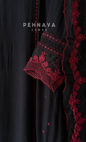 Lace‑Trimmed Panel Cut Ensemble-6219 - Pehnava Lawns