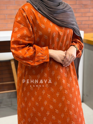 Daily Wear Cotton Printed Co-ord Set SN5294