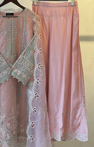Sadabahar Organza Heavy Handworked Suit