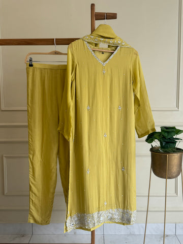 Viscous organza handworked suit-with color options (light)