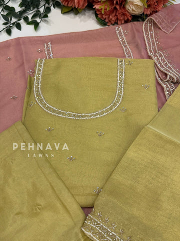 Tissue Handworked Unstitched Suit-314