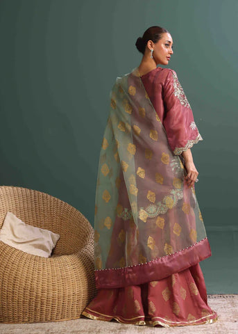 Luxurious Tissue Silk Embroidered Suit