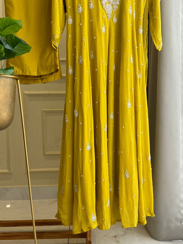 Handworked Chinnon Panel Cut Anarkali Suit