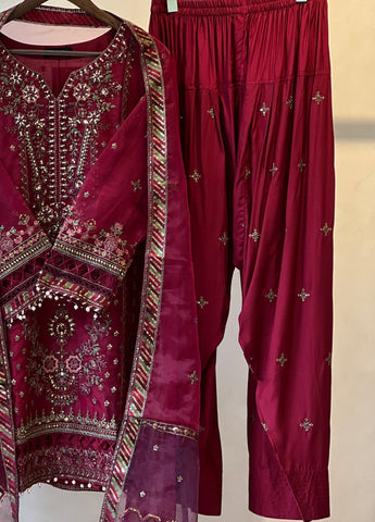 Sadabahar Organza Heavy Handworked Suit