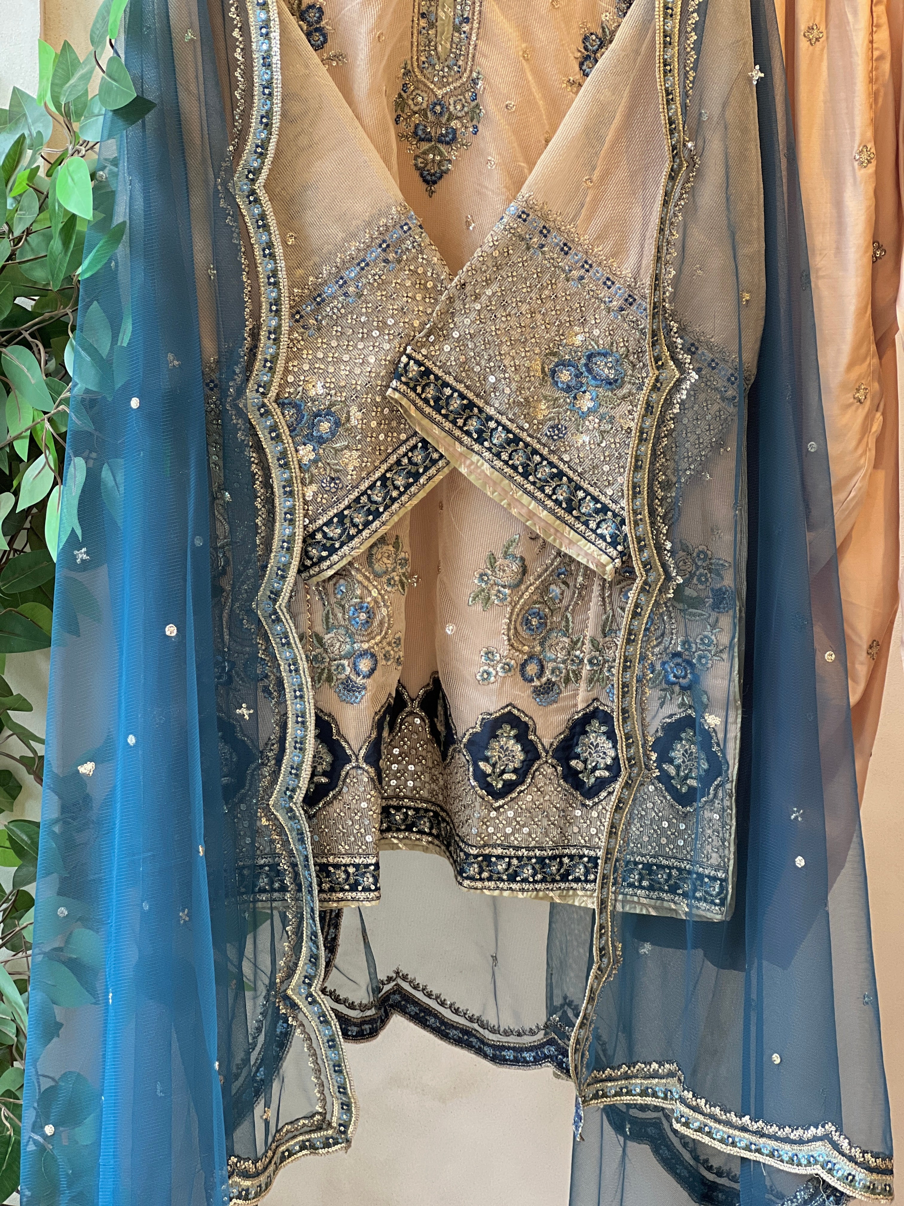 Sadabahar Organza Heavy Handworked Suit