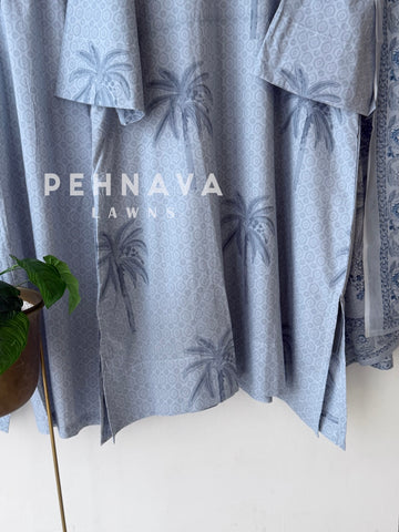 Daily Wear Printed Cotton Set-B245