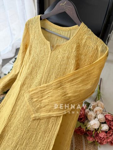 Mul Chanderi Chikankari Ensemble