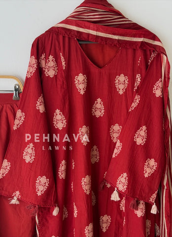 Daily Wear Printed Cotton Set-12870