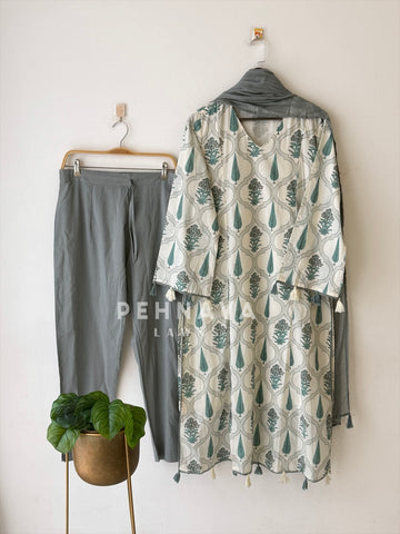 Daily Wear Printed Cotton Set 12870