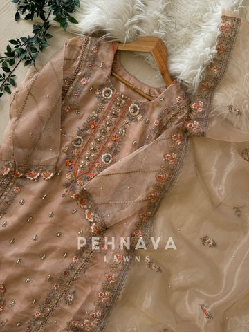 Organza nude pink party wear