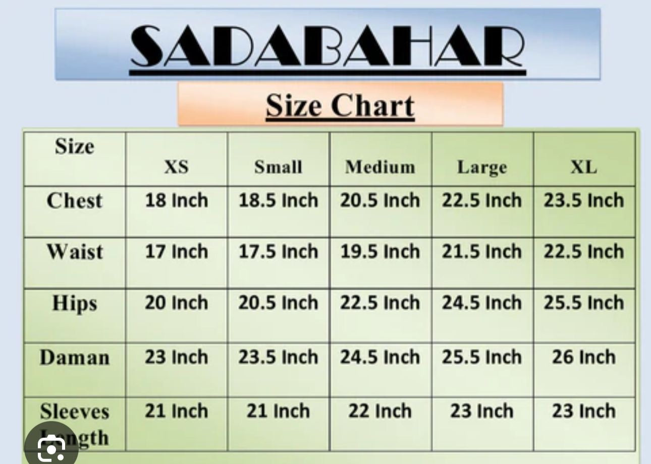 Premium Organza Party wear-shade2